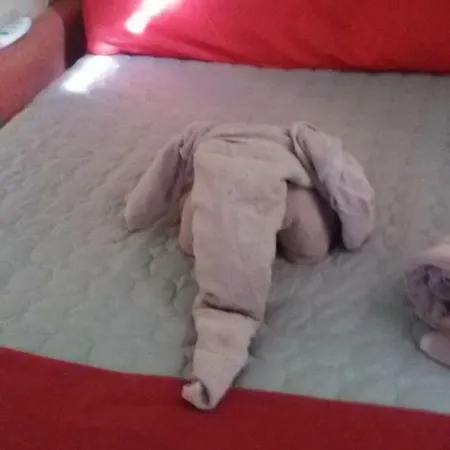 Breakfast At Sophy's * 니스